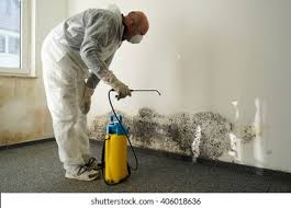 Best Comprehensive Air Testing for Mold Contaminants  in Bay Park, NY